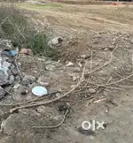 Farm house land for sale