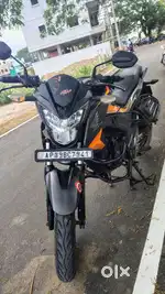 Honda Hornet