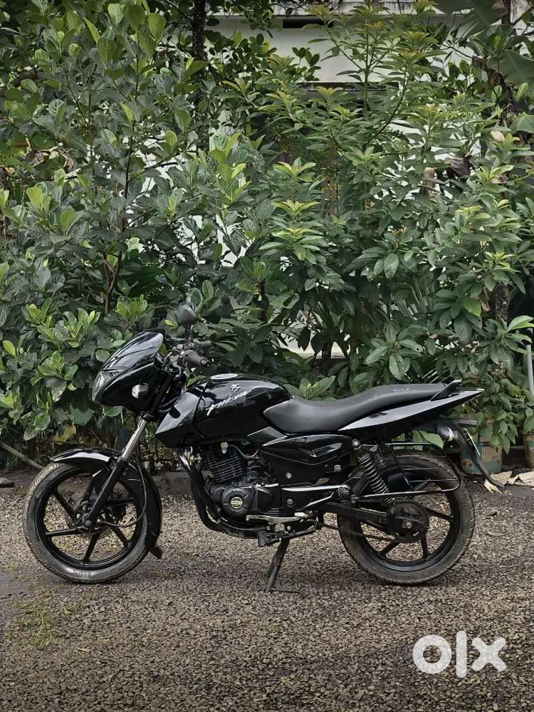 Bajaj Pulsar 150 (2012) – Excellent Condition, Only 35,000 KM, Single