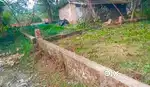 SONARPUR 2 KATHA BASTU LAND FOR SELL 4 LAKH/-KATHA