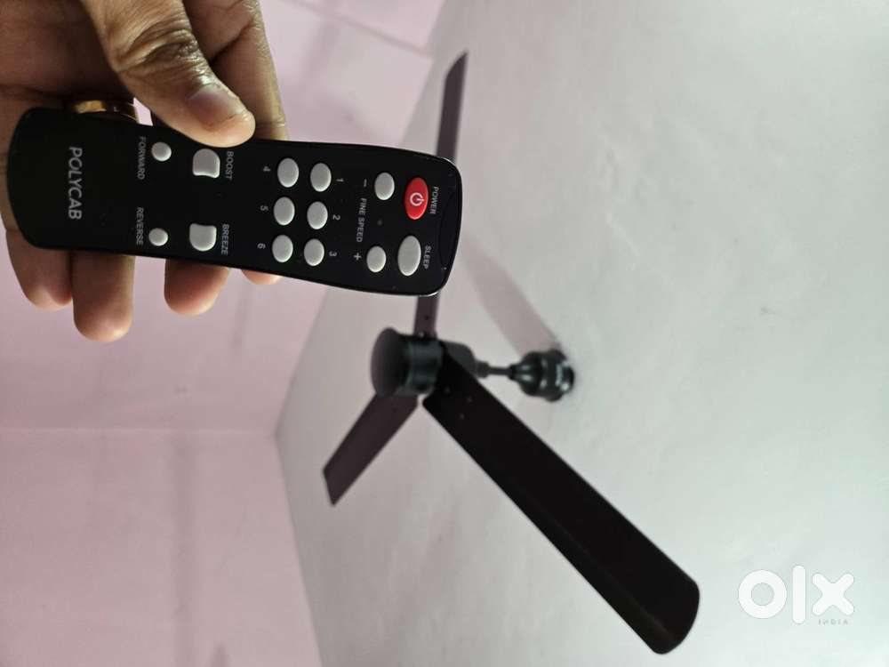 2 Ceiling Fan Polycab BLDC fan 48, GM fan 48 and Polycab EXHAUST 10