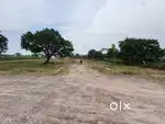 Residential Plots for Sale in Shyam Vatika, Muradnagar, Ghaziabad