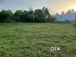 10 cent plot for sale