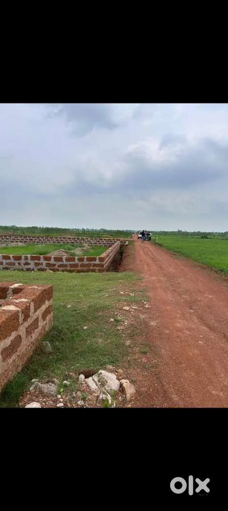 Allms hospital back side sijua