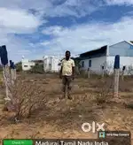 Ready to Build Plot for Sale in Madurai total cost 8.90 lakhs