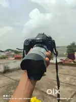 Canon EOS 80D best condition
