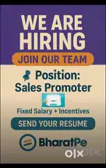 BHARAT PE Sales Executive