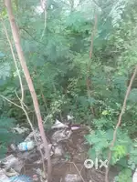Mahesh nager plot 15×53