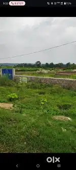 Genral plot