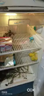 Double cool Fridge