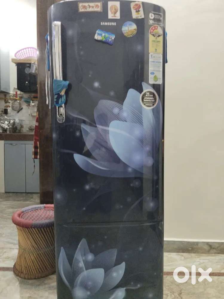 246 litre nov 2019 single door