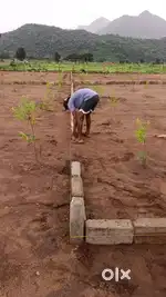 Own Farmland with Mango, Sandal Trees  EMI Options