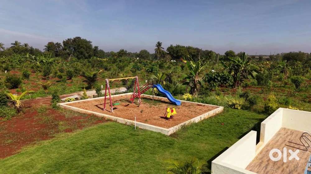 Ready to Harvest Farmlands