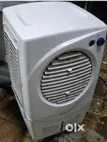 Cooler  one year old