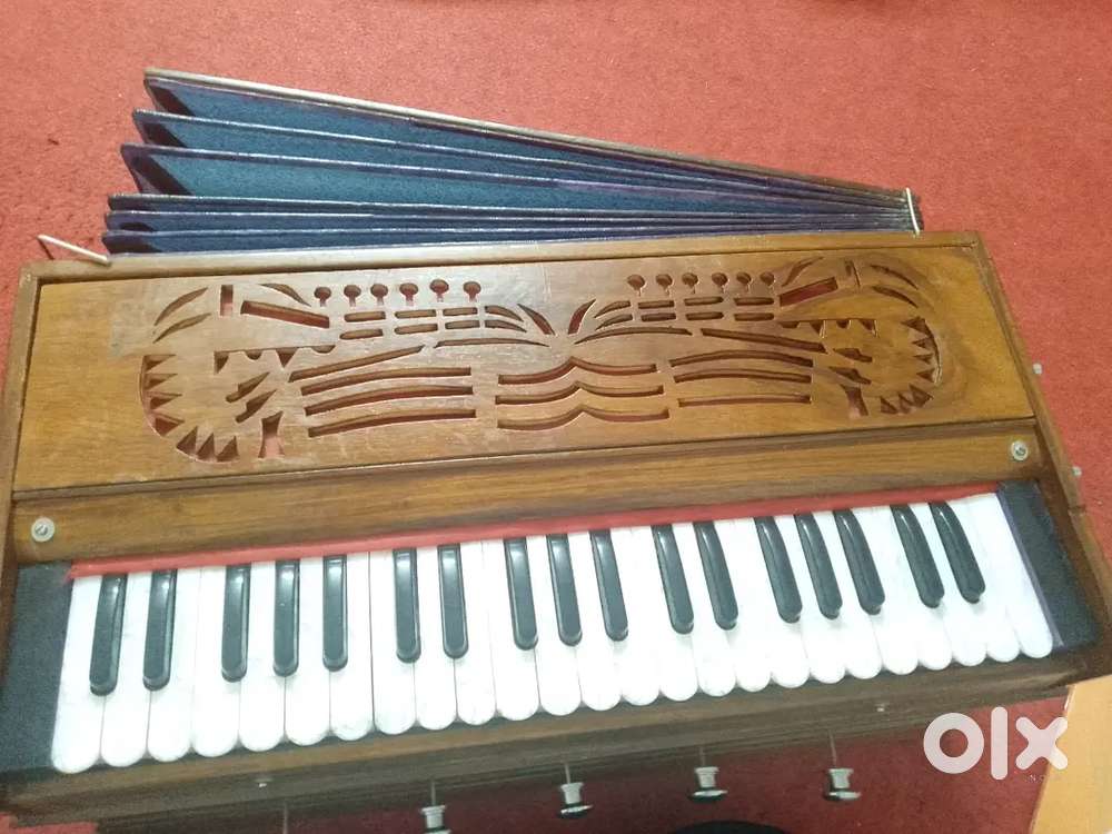 Harmonium palitana Reed