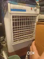 Golden company cooler