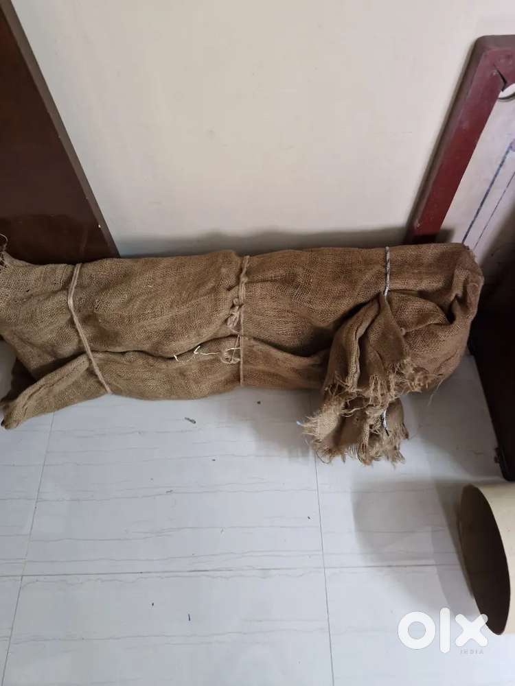 Kolu padi sale