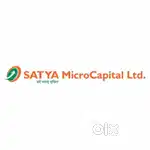 Field collection officer (Mfi)