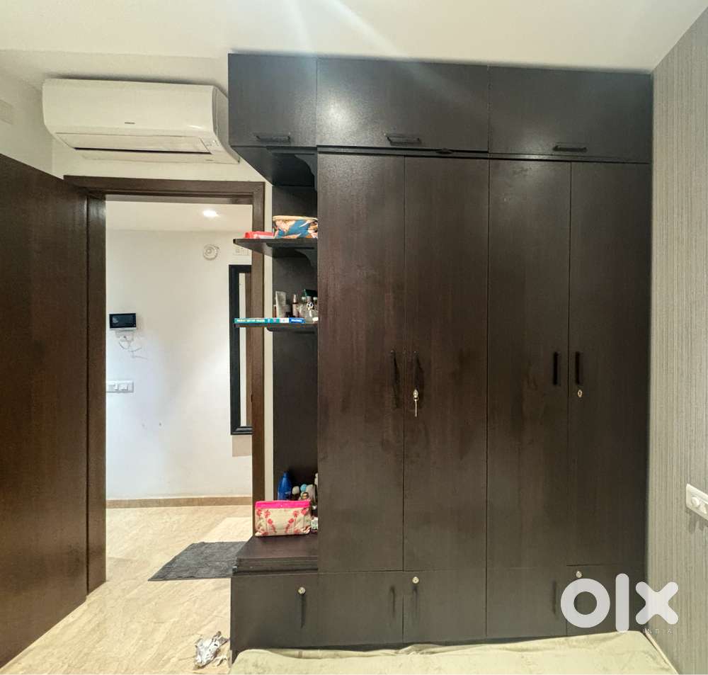 Wardrobe/ Cupboard (1.5 years old)