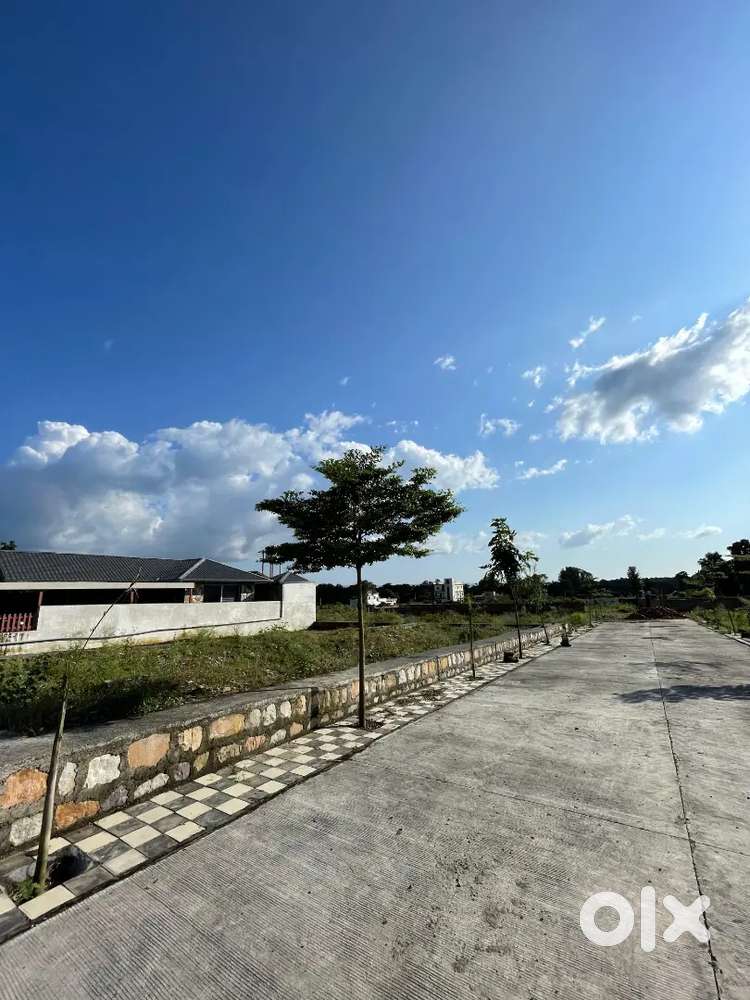 Corner Plot in Approved society