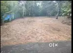 മുഹമ്മയിൽ സ്ഥലം വില്പനയ്ക്ക്