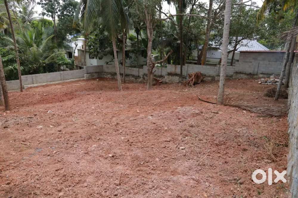 സെന്റ് തോമസ് സ്കൂൾ/മുക്കോല ജംഗ്ഷനിൽ നിന്ന് 300 മീറ്റർ അകലെ 14.6 സെന്റ്