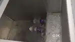 De freezer