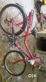 Avon bicycle