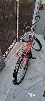 cyclone cycle