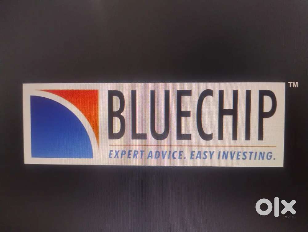BLUECHIP CORPORATE INVESTMENT CENTRE PRIVATE LIMITED