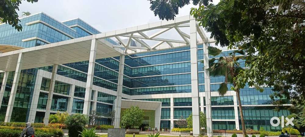 Pantry Boy - Coffee Tea Master