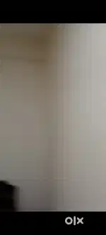 1bhk rental flat for reasonable price