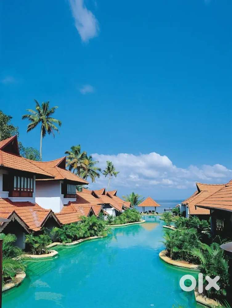 North Indian Commis Chef