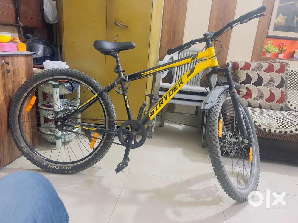 Disc Brake