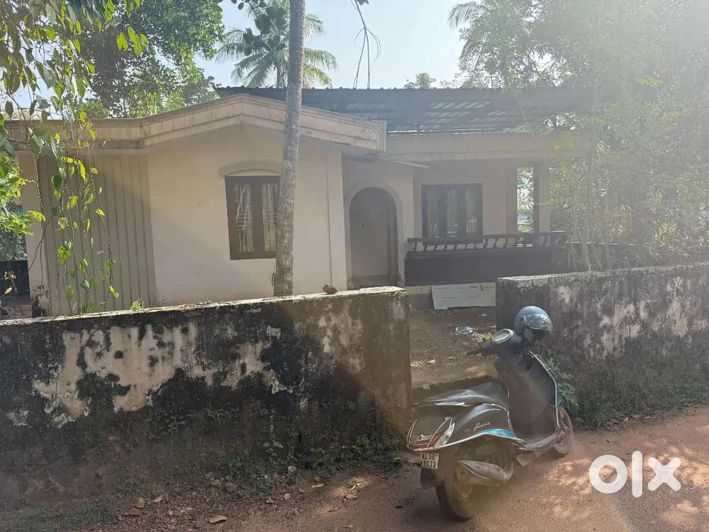 2min walkable distance from NH road, vadakara, palayattunada