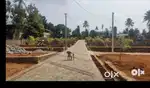 4.5 cent house plot near pukkattupady busroot 300mtr
