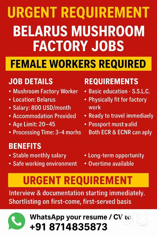 Factory Worker ( male & female )