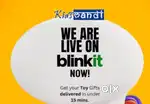 Blinkit delivery boy