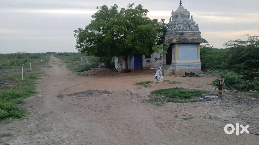 Plot for sale price urgent sale