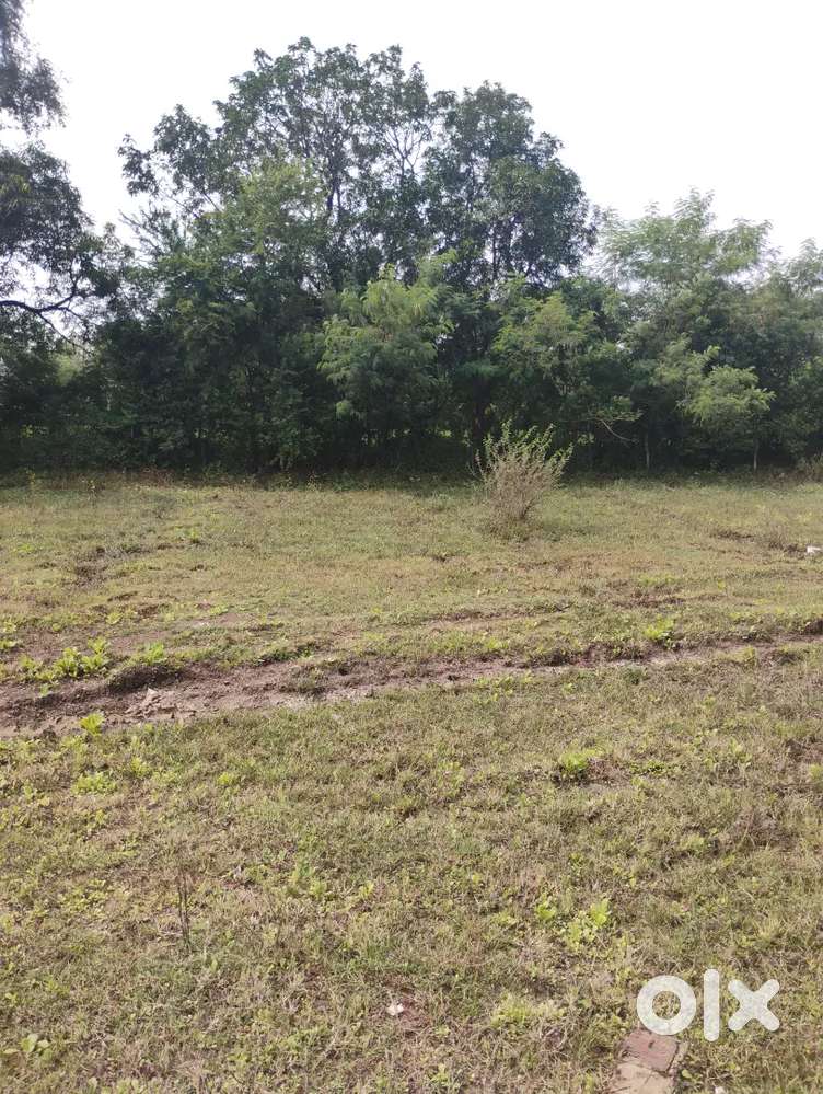 Umarpoti bogdapuliya ke pass 26.6 81.6 Total 2129 sft