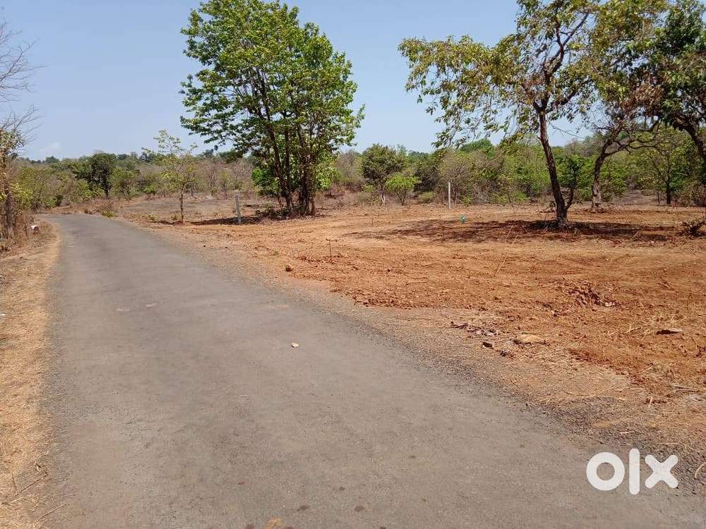 Road Touch Agriculture Land Sale in Mangaon Raigad