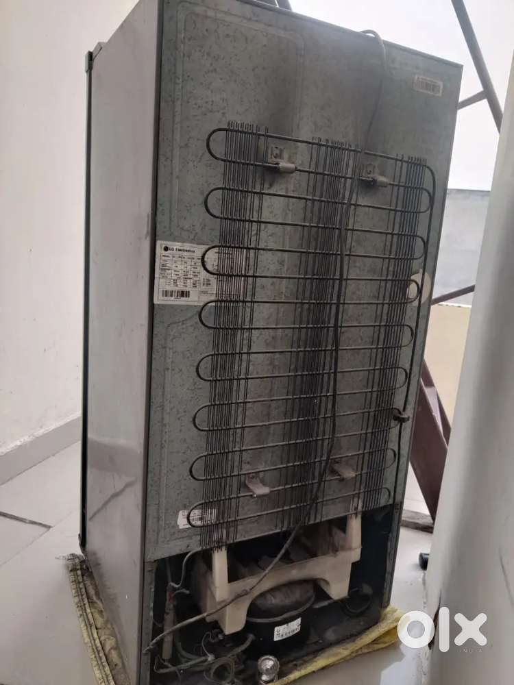 Lg freeze in dc coloney