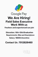 Gpay Field Sales Executive