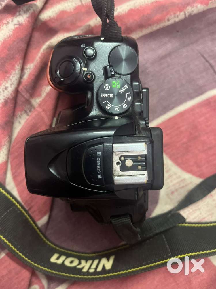 Nikon d5600 and 70-300 lens