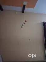 1 bhk house for small family