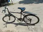 Viva Brand Cycle for Sale