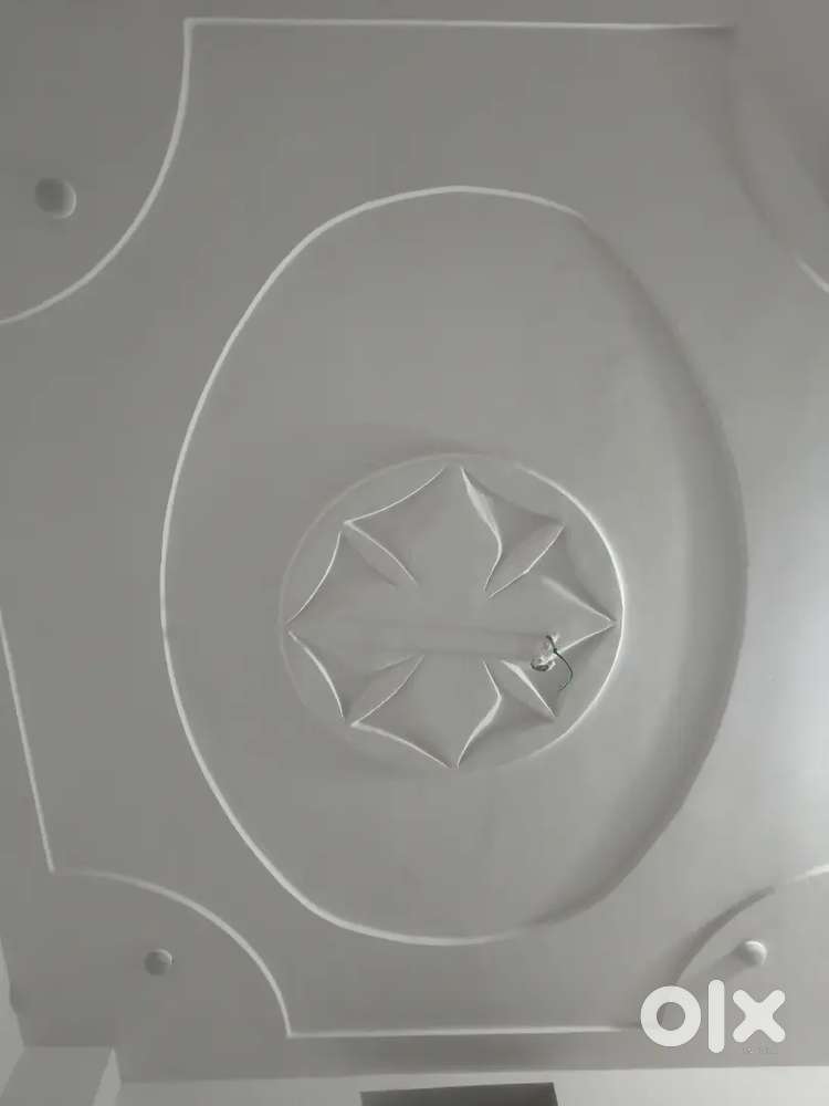 I want a girl flatmate Fully independent flat