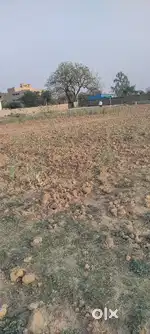 Plot selling RS resort ka paas Price 900/ total amount 585000