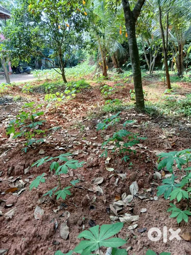 വസ്തു വില്പനക് .