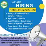 Tele caller & Basic computer operator